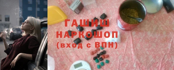 гидра Ельня