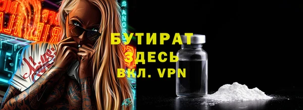 гидра Ельня