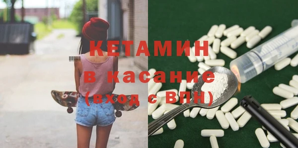 гидра Ельня