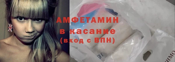 гидра Ельня