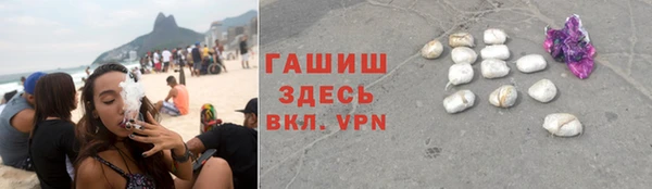 сатива Елизово