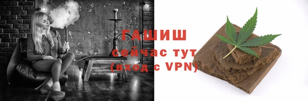 гидра Ельня