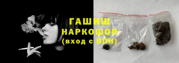 гидра Ельня