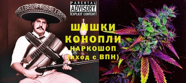 сатива Елизово