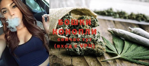 сатива Елизово