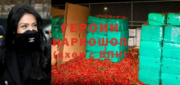гидра Ельня