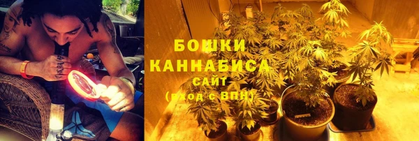 сатива Елизово