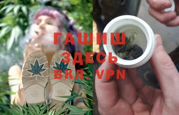 сатива Елизово