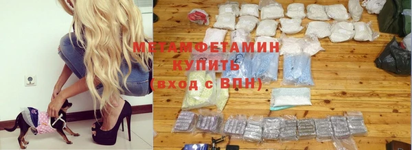гидра Ельня