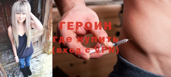 гидра Ельня
