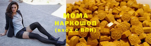 гидра Ельня